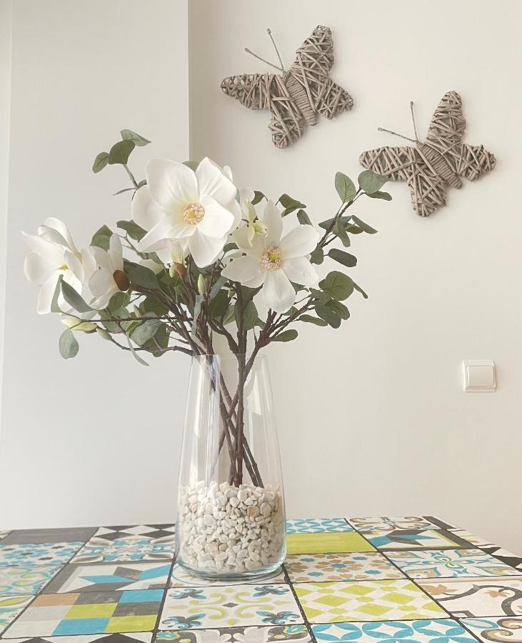 Apartamento Pinares Apartment โซรีอา ภายนอก รูปภาพ