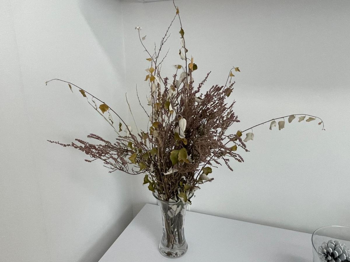 Apartamento Pinares Apartment โซรีอา ภายนอก รูปภาพ